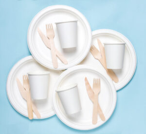 Compostable Paper Plates – Eco-friendly and sustainable export solution from India.