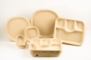 Sugarcane Bagasse Plates and Bowls – Eco-friendly, biodegradable tableware from India