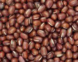 Adzuki Beans Exporter from India