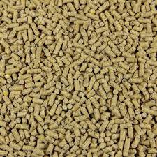 Cattle Feed Exporter from India