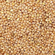 Barnyard Millet Exporter from India