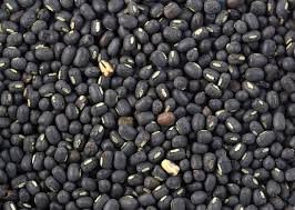 Black Gram Exporter from India