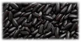 Black Rice Exporter from India