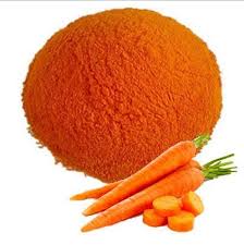 Carrot Powder Exporter from India