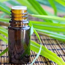 Citronella Oil Exporter from India