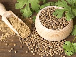 Coriander Seeds and Powder Exporter from India