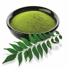 Curry Leaf Powder Exporter from India