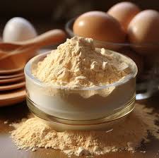 Egg Powder Exporter from India