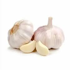 Garlic (Dried and Fresh) Exporter from India