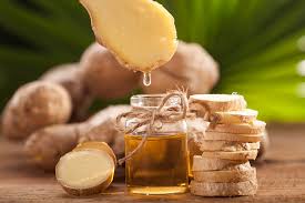 Ginger Oil Exporter from India