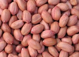 Groundnut, premium groundnuts, healthy snacking, protein, nutritious option Exporter from India