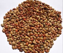 Horse Gram Exporter from India