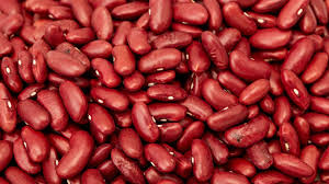 Kidney Beans Exporter from India