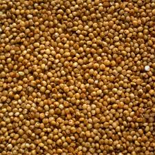 Kodo Millet Exporter from India