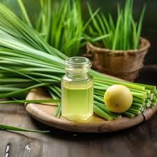 Lemongrass Oil Exporter from India