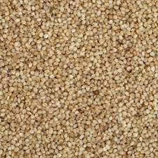 Little Millet Exporter from India