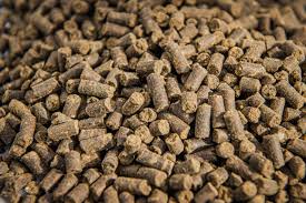 Meat and Bone Meal Exporter from India