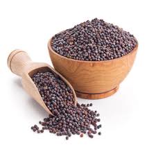 Mustard Seeds Exporter from India