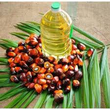 Palm Oil Exporter from India