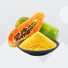 Papaya Powder Exporter from India
