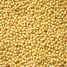 Proso Millet Exporter from India