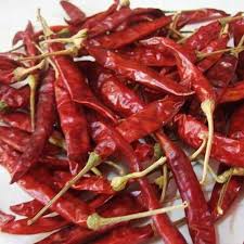 Red Chilli (Dried) Exporter from India