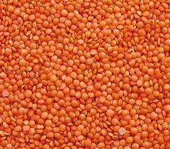 Red Lentils Exporter from India