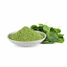 Spinach Powder Exporter from India