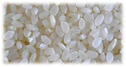 Sushi Rice Exporter from India