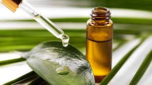 Tea Tree Oil Exporter from India