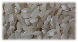 Valencia Rice Exporter from India